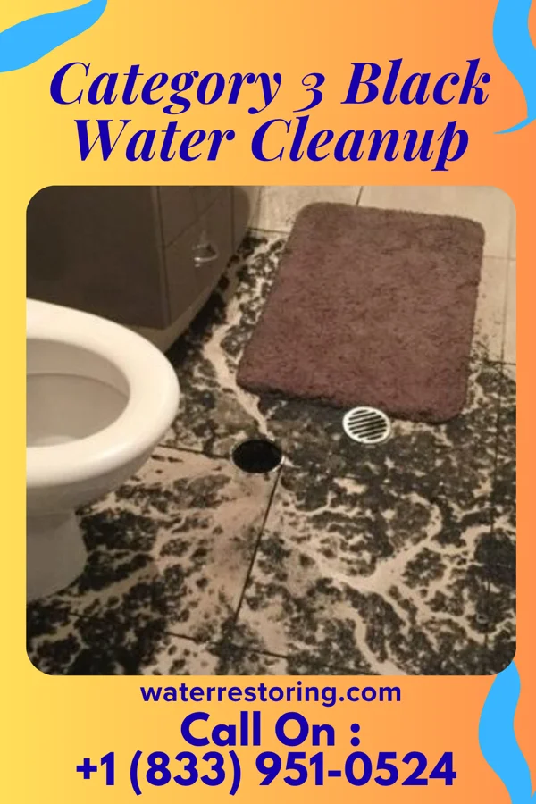 Category 3 Black Water Cleanup in Seis Lagos, TX