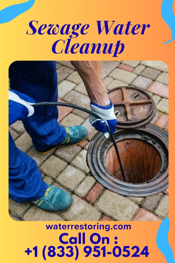 Sewage Water Cleanup in Seis Lagos, TX