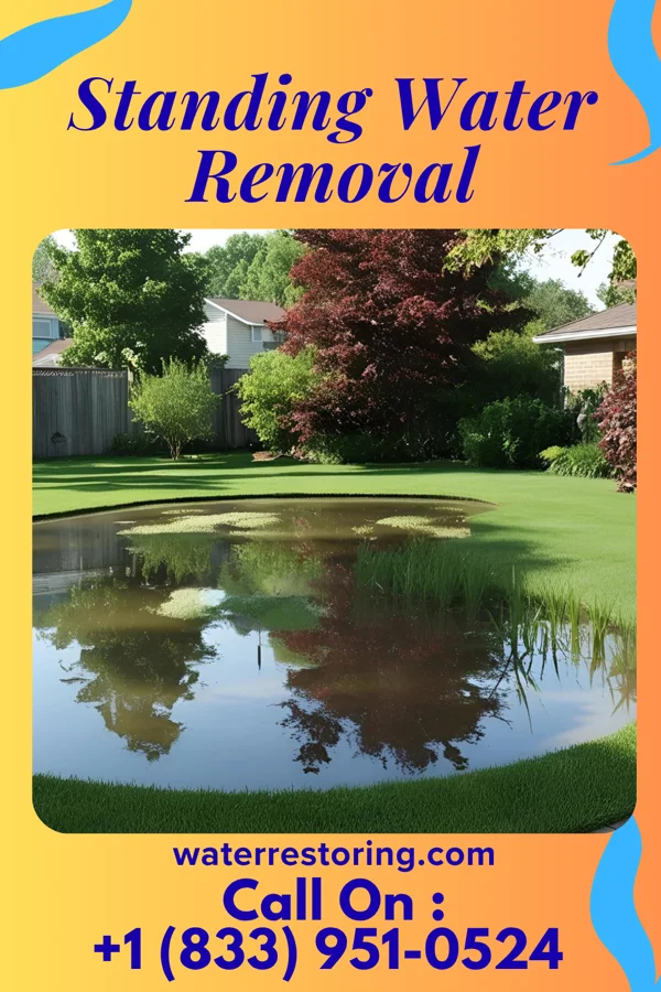 Standing Water Removal in Seis Lagos, TX